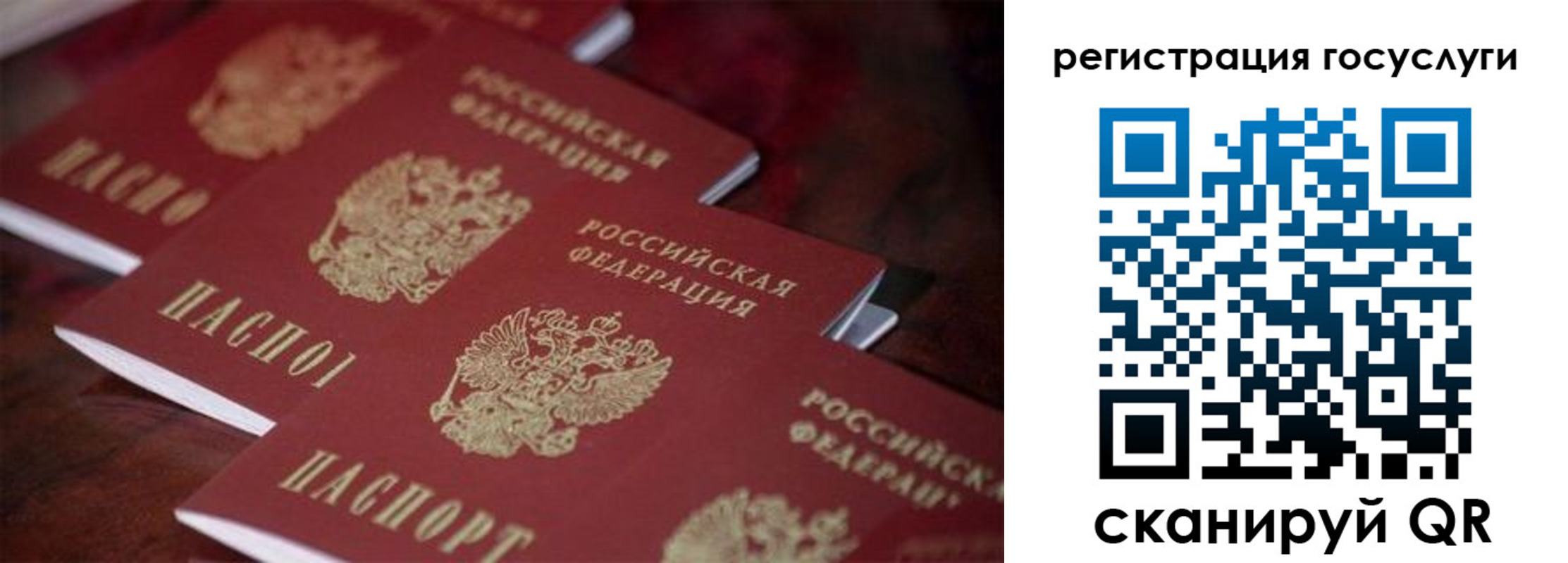 где прописаться в Сухиничи